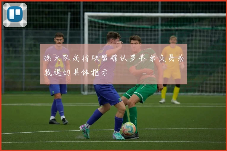 热火队尚待联盟确认罗齐尔交易或裁退的具体指示