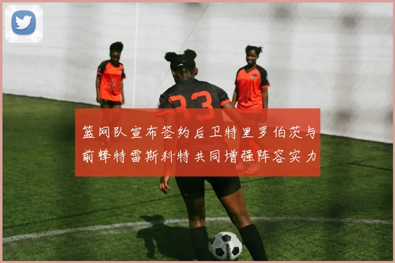 篮网队宣布签约后卫特里罗伯茨与前锋特雷斯科特共同增强阵容实力